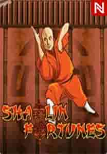 Shaolin Fortunes